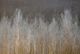 Stylecraft Melancholy Woods Beige/Black/Brown/Dark Gray/Light Gray Wall Art -1