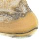 A & B Home Eduardo Beige Hand-Carved Zebra Onyx Bowl-1
