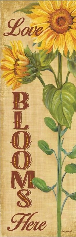 Classy Art Love Blooms Here by Ed Wargo Mirror Framed Wall Art-1