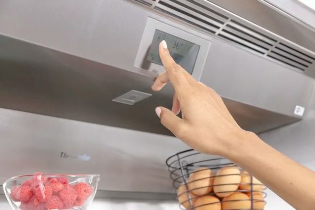 Thermador® Freedom® 24" 13Cu. Ft. Panel Ready Built-In Column Refrigerator-4