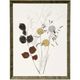 Stylecraft Wild Foliage Homely Multi-Colored Wall Art-0
