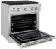 ZLINE Paramount 30" Stainless Steel Pro Style Dual Fuel Range-2