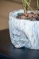 A & B Home Nickel Planter with Mushroom-5