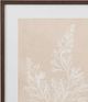 Bassett Mirror Cystoseira Faeniculacea Beige Framed Print-1