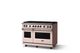 Viking® 5 Series 48" Blush Pro Style Gas (LP) Range with Polished Chrome Trim-2