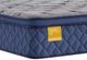 Sealy® Golden Elegance Bridgerton 14" Innerspring Soft Euro Pillow Top Twin XL Mattress-3