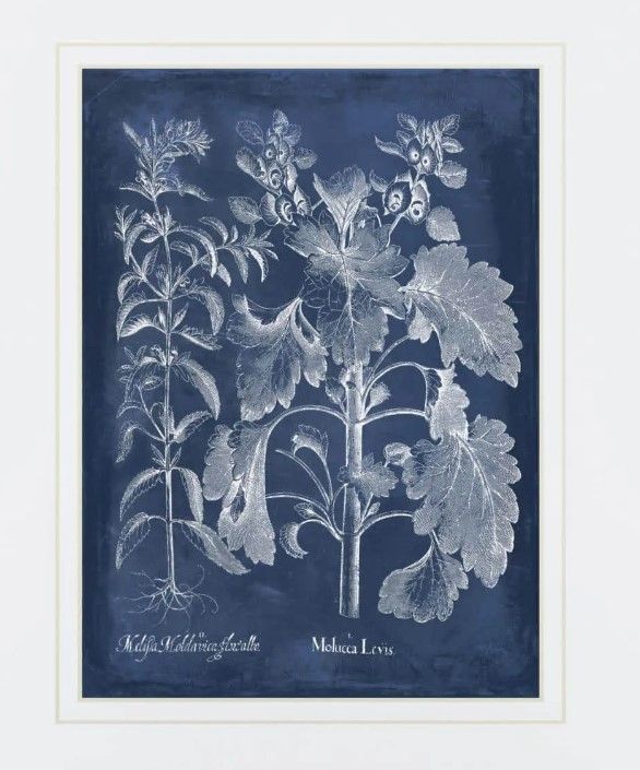 Classy Art Besler Leaves in Indigo I By Vision Studio Wall Art-1
