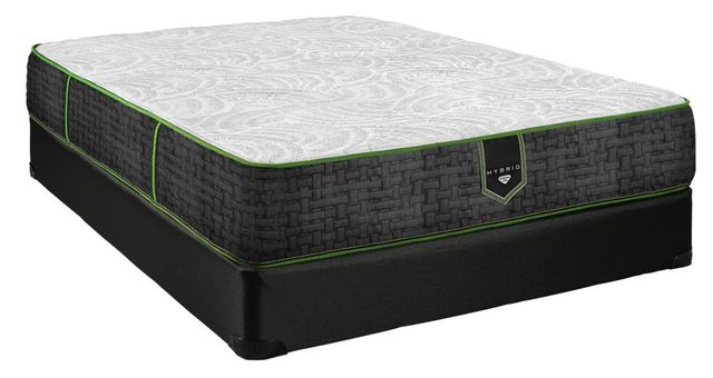 Spring Air® Ivory 12" Hybrid Plush Tight Top King Mattress-0