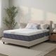 Customatic Sleep Technologies DreamTemp 13” Memory Foam Plush Smooth Top Queen Mattress -1