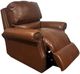 USA Premium Leather Furniture 9055 Alligator/Brandy Power Recliner-0