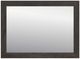 Signature Design by Ashley® Parlayon Charcoal Bedroom Mirror-0