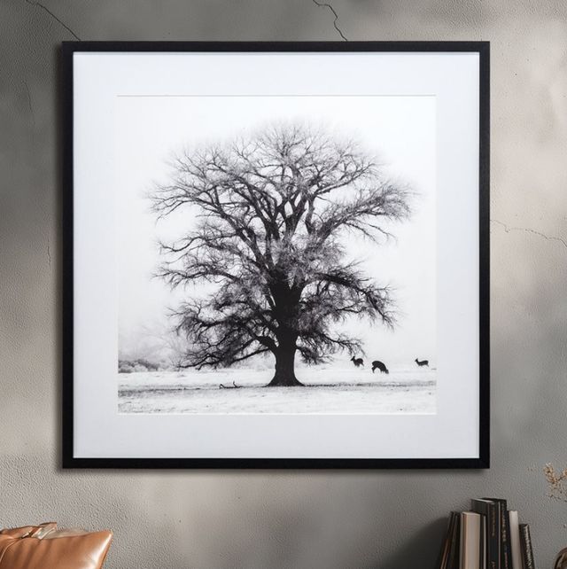 YHD Winter's Morning Fog IV Wall Art-1