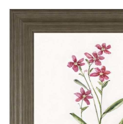 Classy Art Delicate Pink II by Sally Swatland Framed Wall Art-1