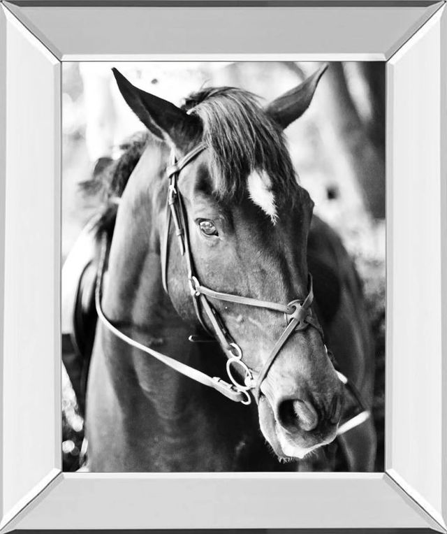 Classy Art Derby I by Susan Bryant Mirror Framed Wall Art-0