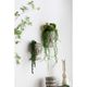 A & B Home Gray 8" Bust Wall Planter-5