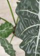Le Present Alocasia Green 27" Faux Botanical Plant-4