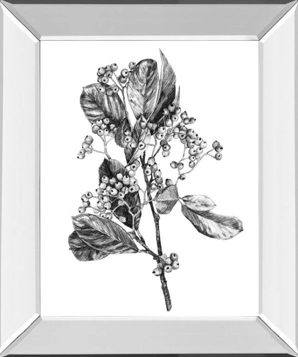 Classy Art Hawthorn Berry Branch II by Emma Scarvey Mirrored Frame Wall Art-0