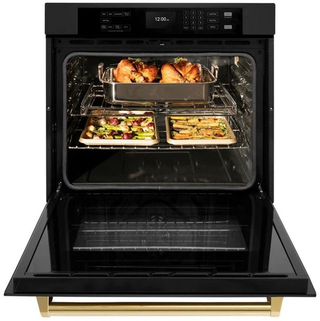 ZLINE Autograph Edition Professional 30" Black Stainless Steel Single Electric Wall Oven-2