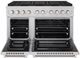 ZLINE Paramount Series 48" Stainless Steel Pro Style Gas Range -1