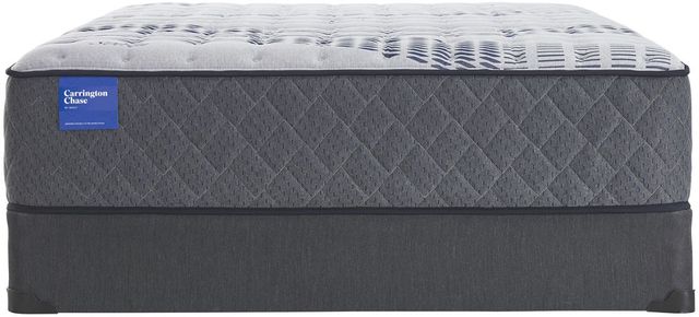 Sealy® Carrington Chase Stoneleigh 14.5" Wrapped Coil Plush Tight Top Queen Mattress-3
