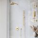 ZLINE Autograph Edition Polished Gold El Dorado Shower System-5