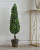A & B Home Green 3' Artificial Boxwood Tree in Brown Pot-3