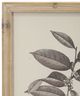 A & B Home Aba 4-Piece Beige/Gray/White Botanical Wall Decor Set-4