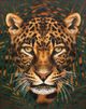Stylecraft Roaming Wild II Wall Art-1