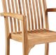 Dovetail Furniture Ashdown Natural Teak Wood Outdoor Dining Arm Chair-1