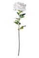 A & B Home White Peony Stem-1