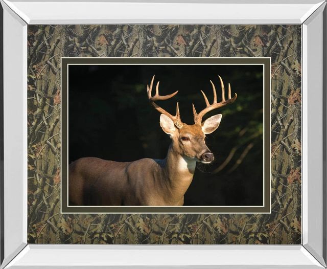 Classy Living Tony Campbell White Tail Buck Wall Art-0
