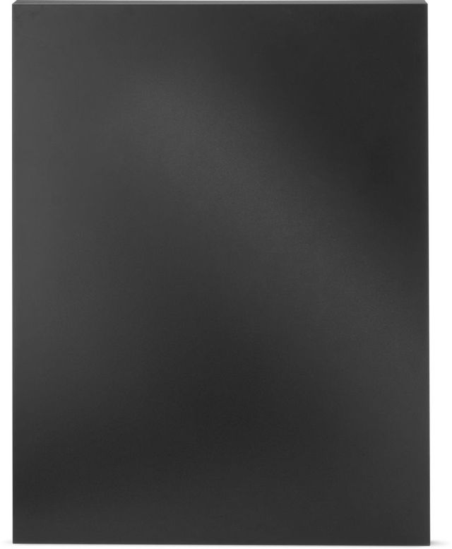 Napoleon OASIS® Matte Black End Panel-0