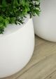 Le Present Belly White 19" Planter-4