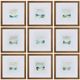 Crestview Collection Mad for Color 9-Piece Wall Art Set-0