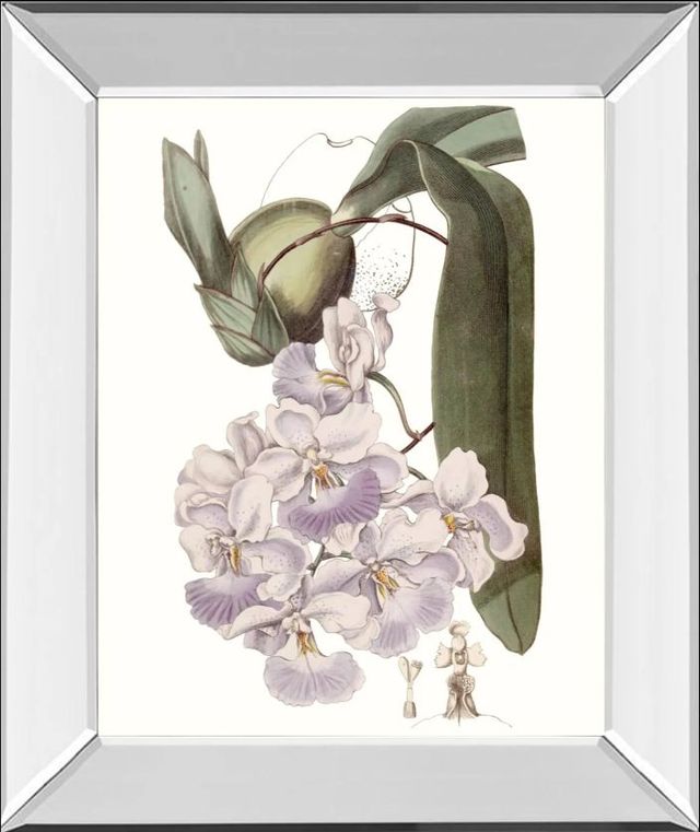 Classy Art Lavender Beauties V by Edwards Mirror Framed Wall Art-0