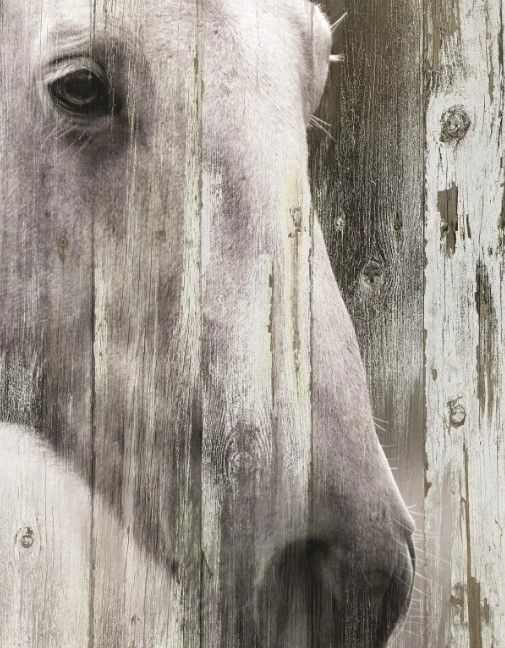 Classy Art Contemplation by Carol Robinson Wall Art-0