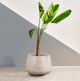 Armen Living Amethyst White Indoor or Outdoor Planter-4