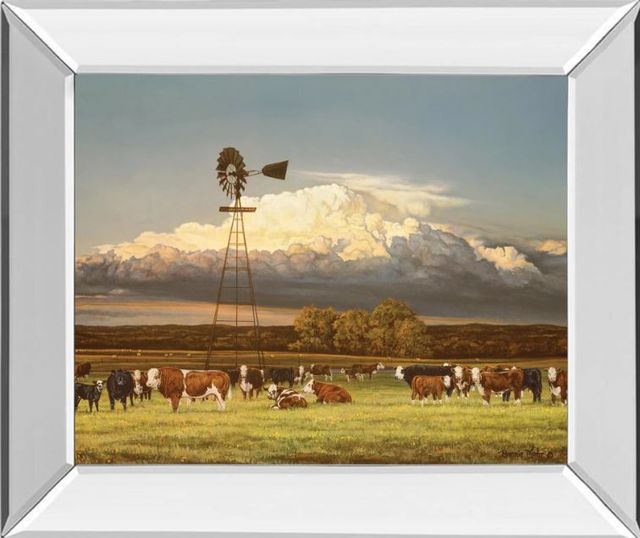 Classy Art Summer Pastures by Bonnie Mohr Mirror Framed Wall Art-0