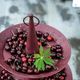 A & B Home Red 2-Tier Tray-1