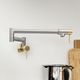 ZLINE Autograph Edition Brushed Nickel/Champagne Bronze Gemini Pot Filler-2
