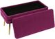 TOV Furniture Ziva Plum Storage Bench-2