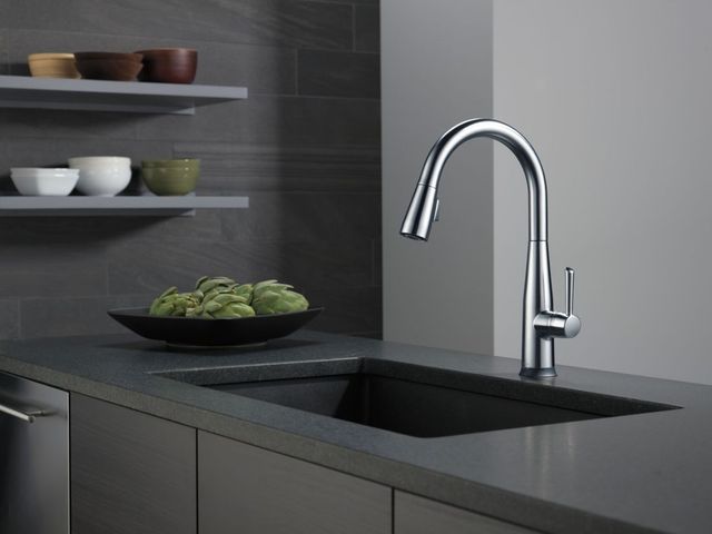 Delta Essa® Arctic Stainless Single Handle Pull-Down Kitchen Faucet withTouch2O® Technology-1