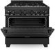 ZLINE 36" Black Stainless Steel Pro Style Dual Fuel Range-1