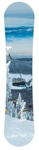 YHD Champagne Powder Wall Art-3