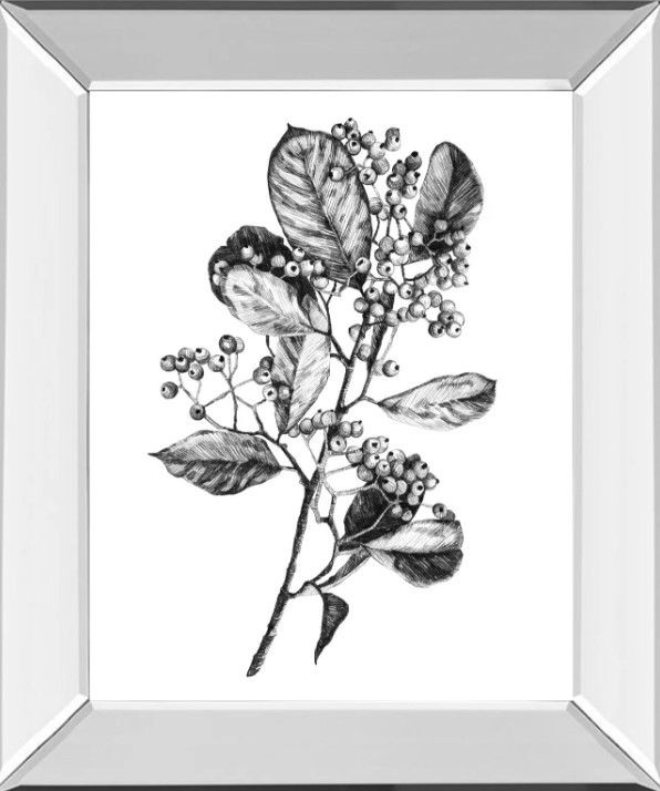 Classy Art Hawthorn Berry Branch I by Emma Scarvey Mirrored Frame Wall Art-0
