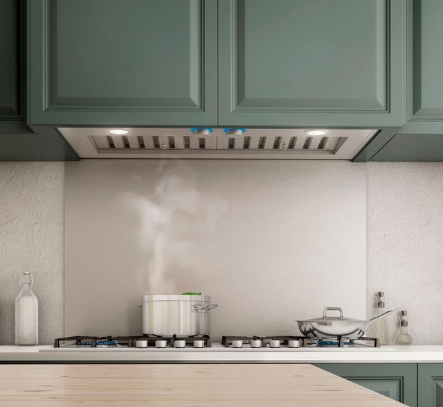 Elica Pro Series Trento 46" Stainless Steel Insert Range Hood-4