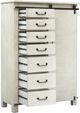 Magnussen Home® Chesters Mill Alabaster/Aged Iron Door Chest-4
