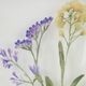 Olliix by Madison Park Blooming Traces Floral 4 Pieces Multi UV Printed Shadowbox Wall Art Set-1