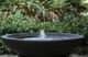 A & B Home Brown Bowl Fountain-3