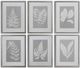 Uttermost® by Grace Feyock Moonlight Ferns 6-Piece Silver Framed Art-0
